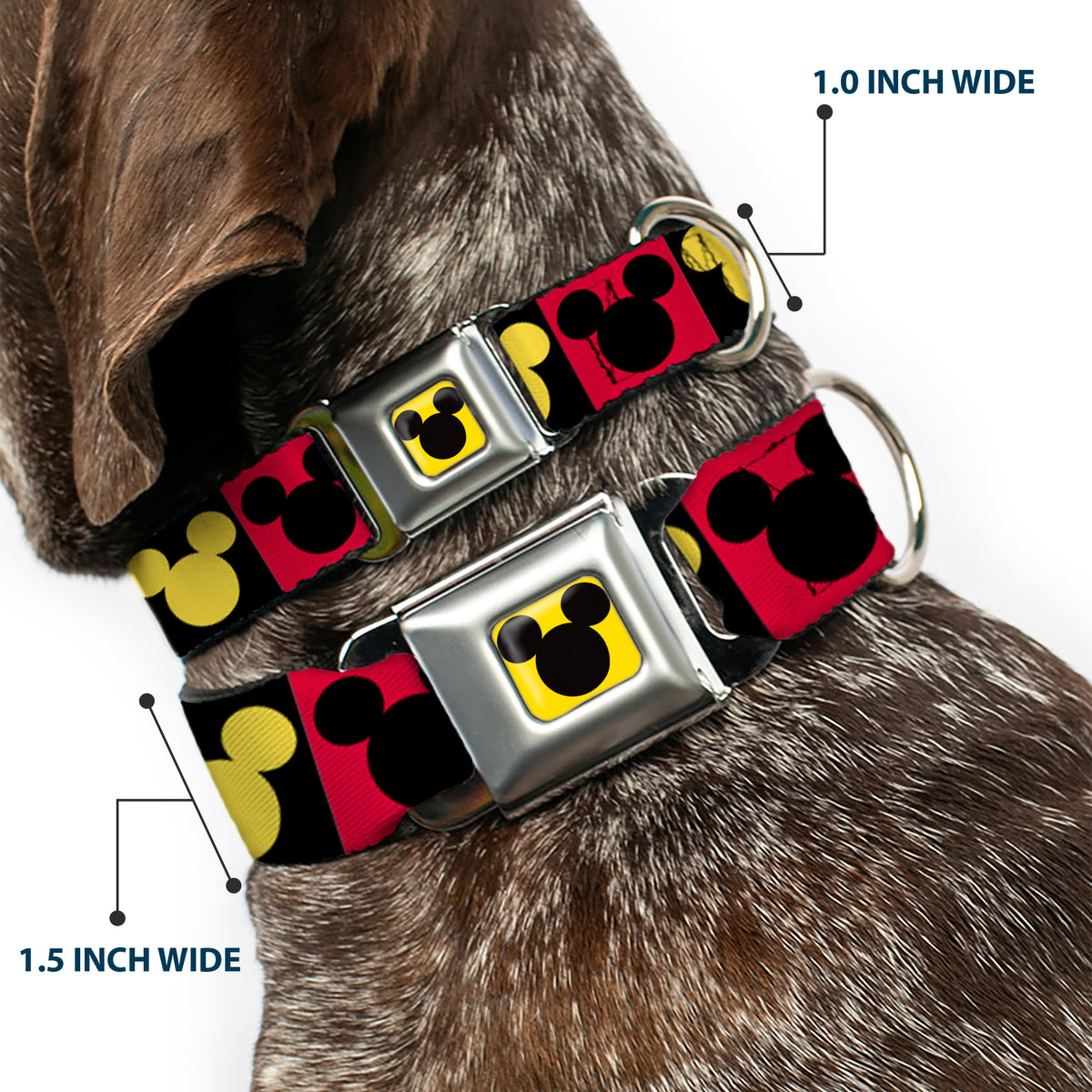 Mickey Mouse Ears Full Color Yellow/Black Seatbelt Buckle Collar - Mickey Mouse Ears Icon Blocks Red/Black/Yellow Dog Collars Seatbelt Buckle Disney