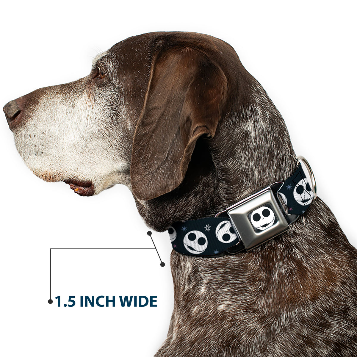 The Nightmare Before Christmas Jack Smiling Full Color Black/White Seatbelt Buckle Collar - The Nightmare Before Christmas Smiling Jack Moon and Stars Black Dog Collars Seatbelt Buckle Disney