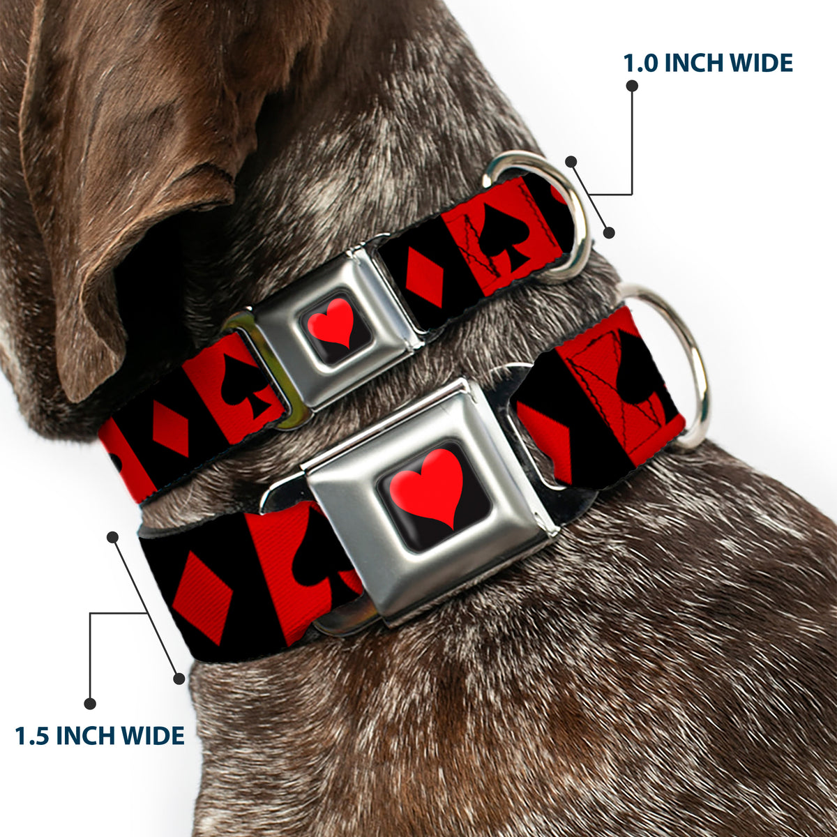 Alice in Wonderland Heart Full Color Black/Red Seatbelt Buckle Collar - Alice in Wonderland Card Suits Red/Black Dog Collars Seatbelt Buckle Disney