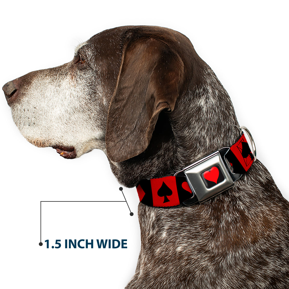 Alice in Wonderland Heart Full Color Black/Red Seatbelt Buckle Collar - Alice in Wonderland Card Suits Red/Black Dog Collars Seatbelt Buckle Disney