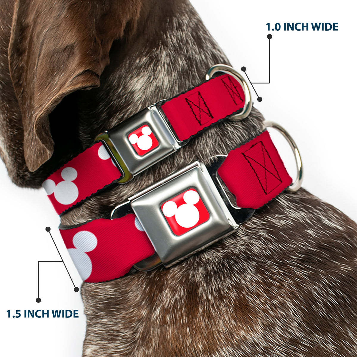 Mickey Mouse Ears Icon Full Color Red/White Seatbelt Buckle Collar - Mickey Mouse Ears Icon Red/White Dog Collars Seatbelt Buckle Disney