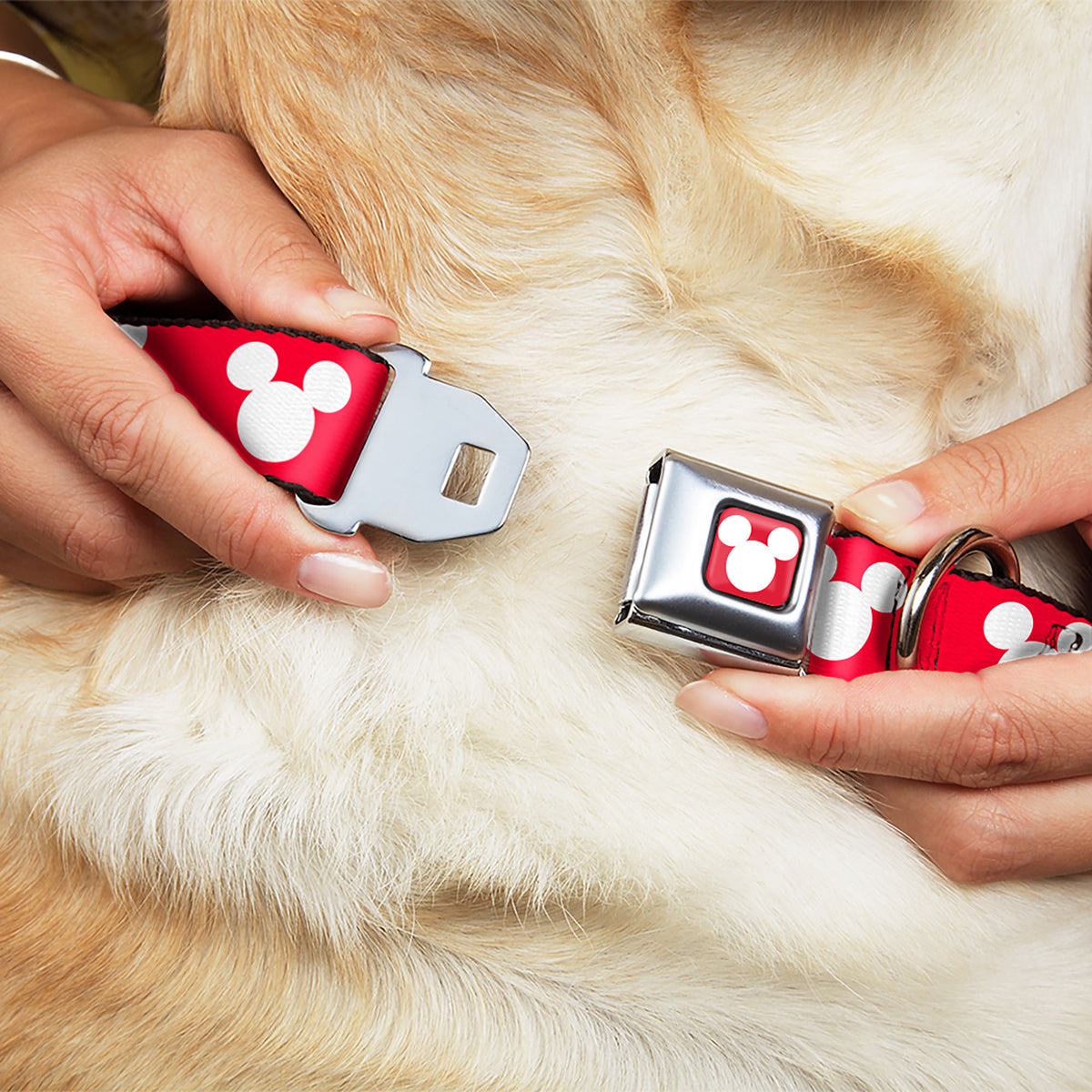 Mickey Mouse Ears Icon Full Color Red/White Seatbelt Buckle Collar - Mickey Mouse Ears Icon Red/White Dog Collars Seatbelt Buckle Disney