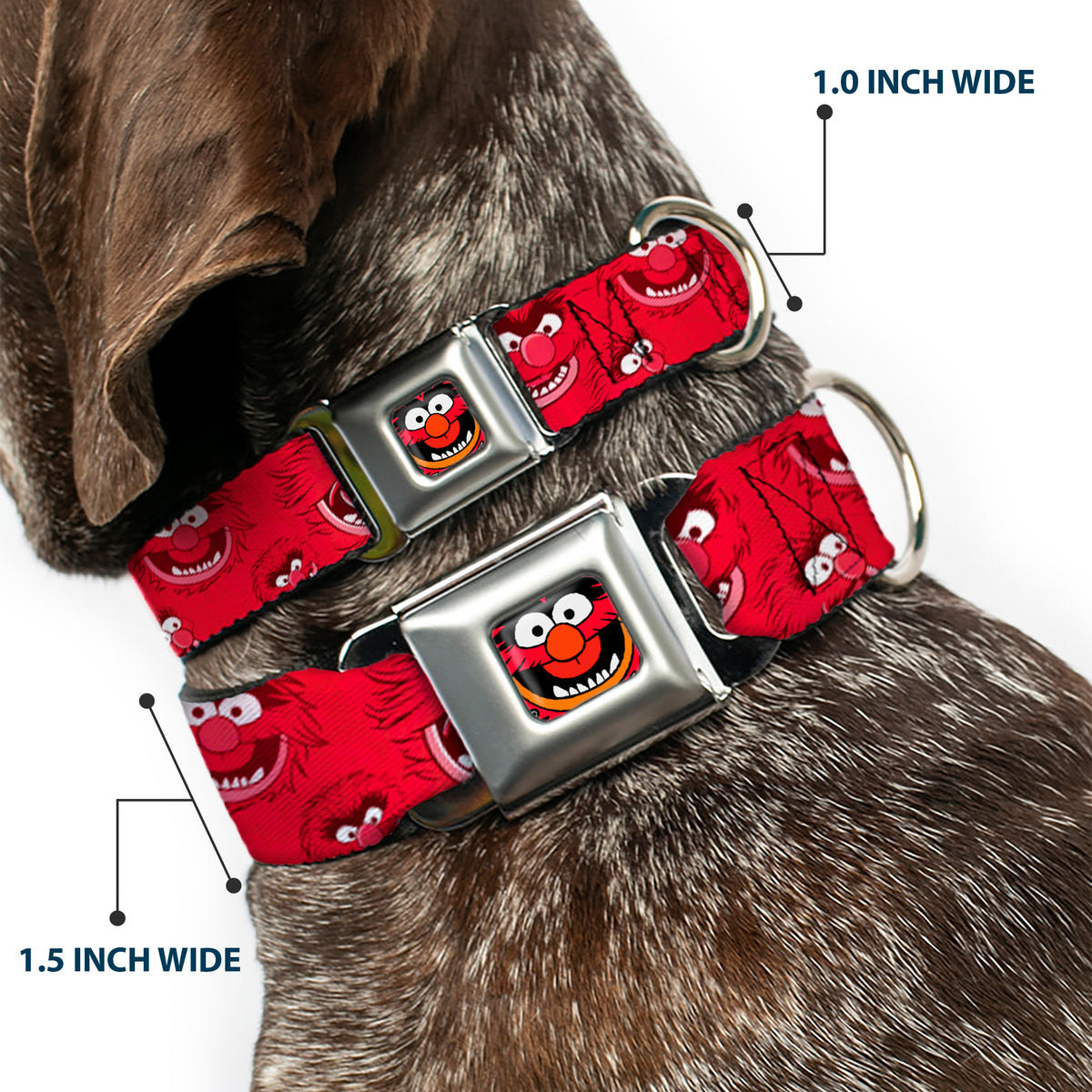 Muppets Animal Face Seatbelt Buckle Dog Collar Dog Collars Seatbelt Buckle Disney