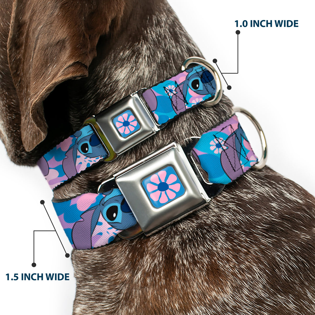 Lilo & Stitch Flower Full Color Blues/Pink Seatbelt Buckle Collar - Lilo & Stitch Stitch Flip Expressions Close-Up Blues/Pinks Dog Collars Seatbelt Buckle Disney