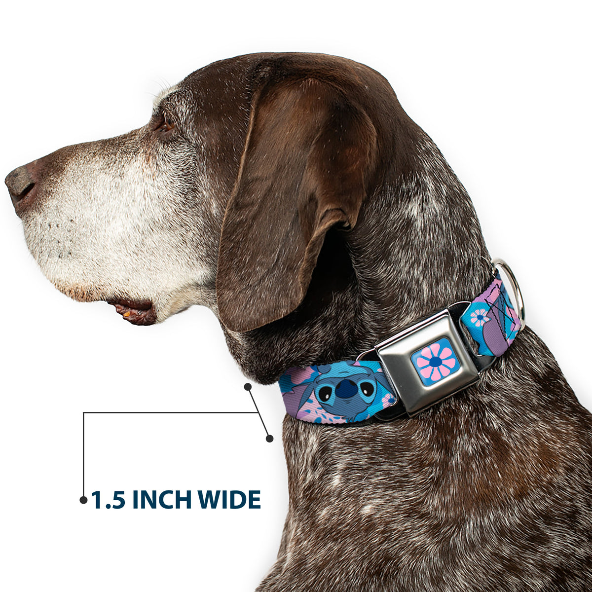 Lilo & Stitch Flower Full Color Blues/Pink Seatbelt Buckle Collar - Lilo & Stitch Stitch Flip Expressions Close-Up Blues/Pinks Dog Collars Seatbelt Buckle Disney