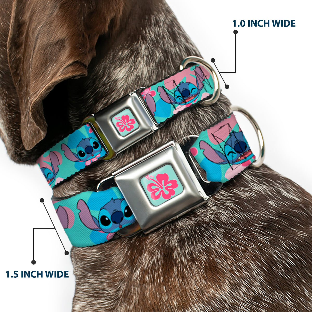 Lilo & Stitch Flower Full Color Blue/Pink Seatbelt Buckle Collar - Lilo & Stitch Stitch Expressions and Tropical Flowers Blues/Pinks Dog Collars Seatbelt Buckle Disney