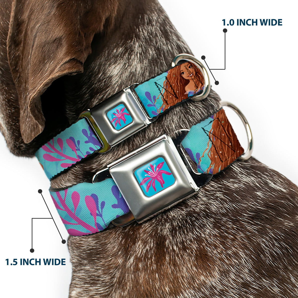 The Little Mermaid Sea Flower Full Color Blue/Purple Seatbelt Buckle Collar - The Little Mermaid Live Action Ariel Under the Sea Poses Blues Dog Collars Seatbelt Buckle Disney