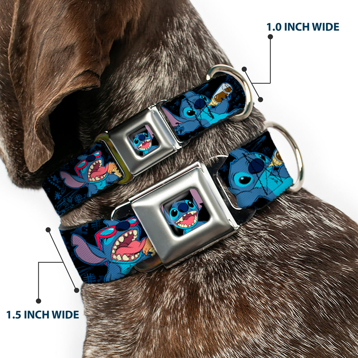 Stitch Smiling CLOSE-UP Full Color Black Seatbelt Buckle Collar - Stitch Snacking Poses Black/Blue Dog Collars Seatbelt Buckle Disney
