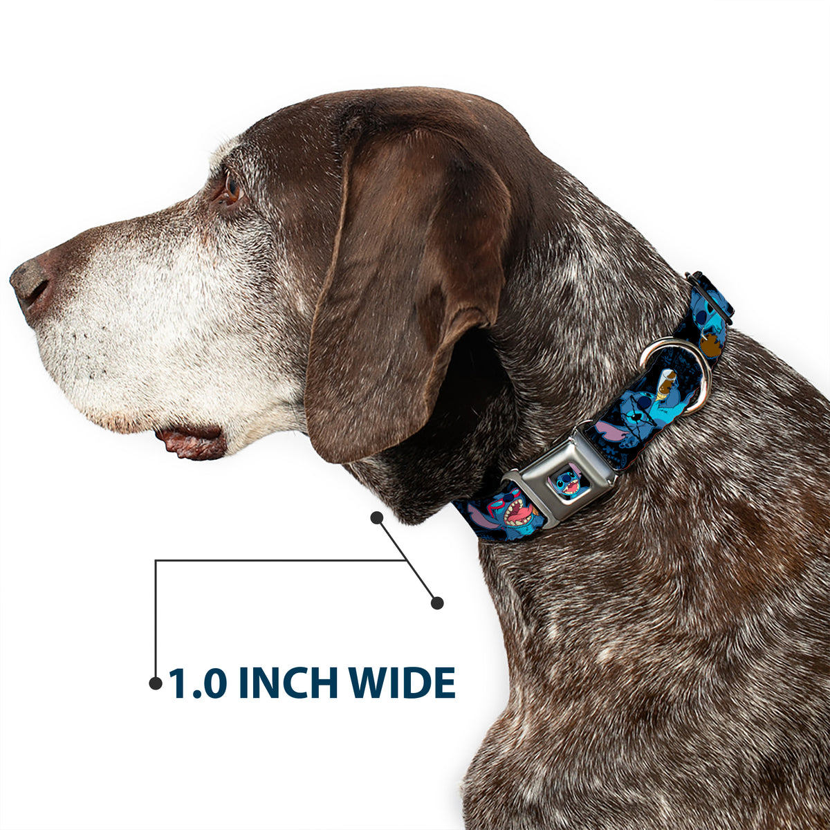 Stitch Smiling CLOSE-UP Full Color Black Seatbelt Buckle Collar - Stitch Snacking Poses Black/Blue Dog Collars Seatbelt Buckle Disney