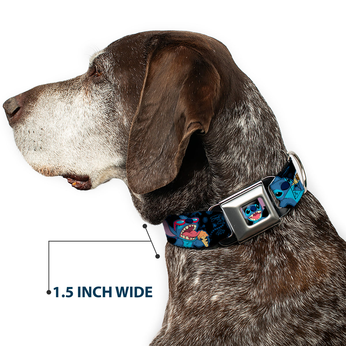 Stitch Smiling CLOSE-UP Full Color Black Seatbelt Buckle Collar - Stitch Snacking Poses Black/Blue Dog Collars Seatbelt Buckle Disney