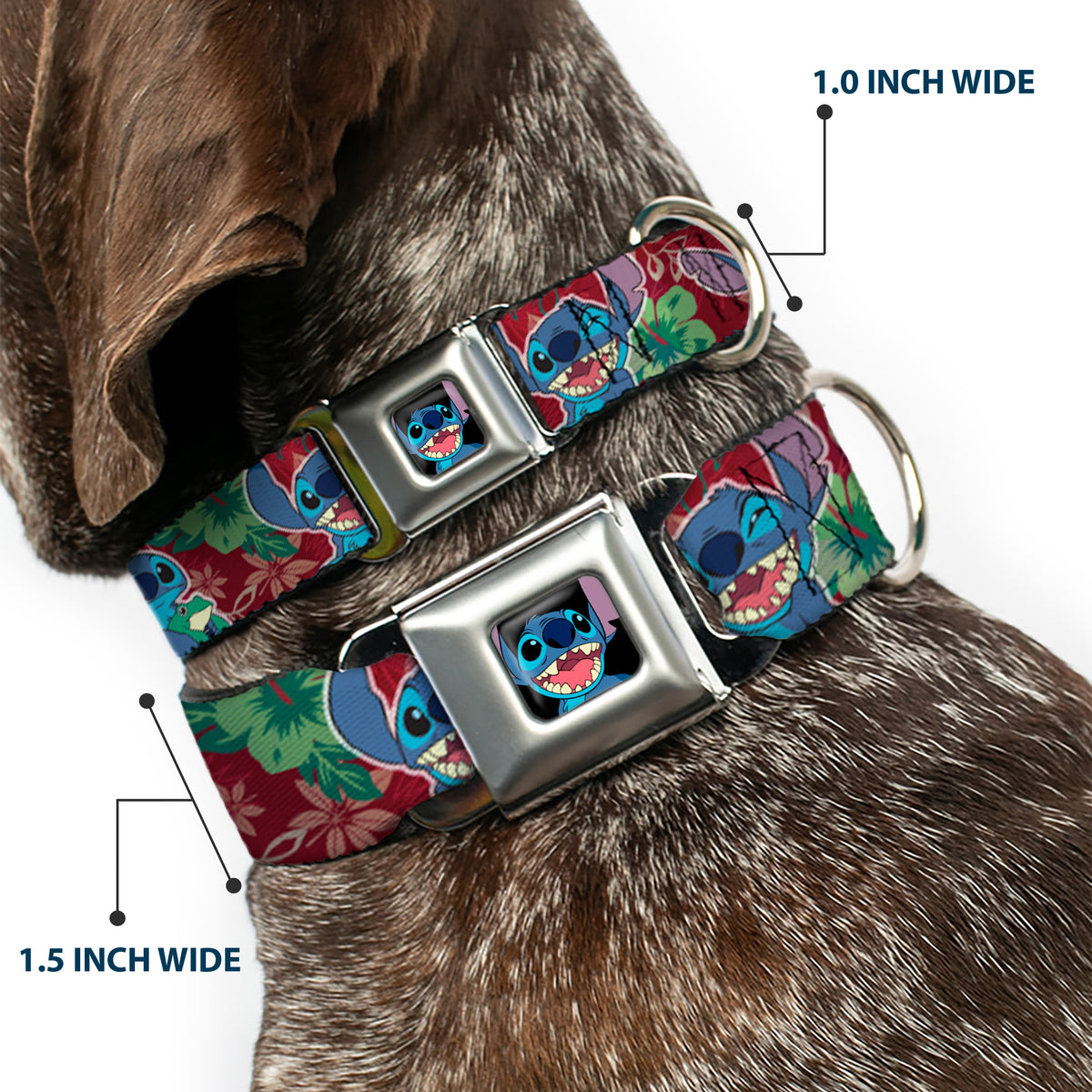 Stitch Smiling CLOSE-UP Full Color Black Seatbelt Buckle Collar - Stitch 6-Expressions Tropical Flora Burgundy Reds/Greens Dog Collars Seatbelt Buckle Disney