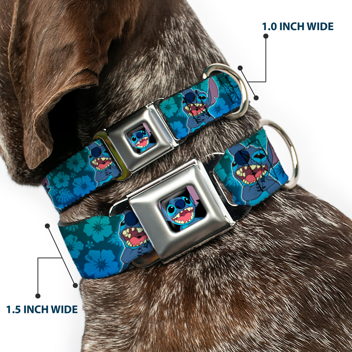 Stitch Smiling CLOSE-UP Full Color Black Seatbelt Buckle Collar - Stitch Expressions/Hibiscus Collage Green-Blue Fade Dog Collars Seatbelt Buckle Disney