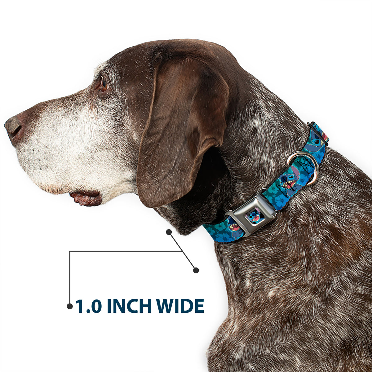 Stitch Smiling CLOSE-UP Full Color Black Seatbelt Buckle Collar - Stitch Expressions/Hibiscus Collage Green-Blue Fade Dog Collars Seatbelt Buckle Disney