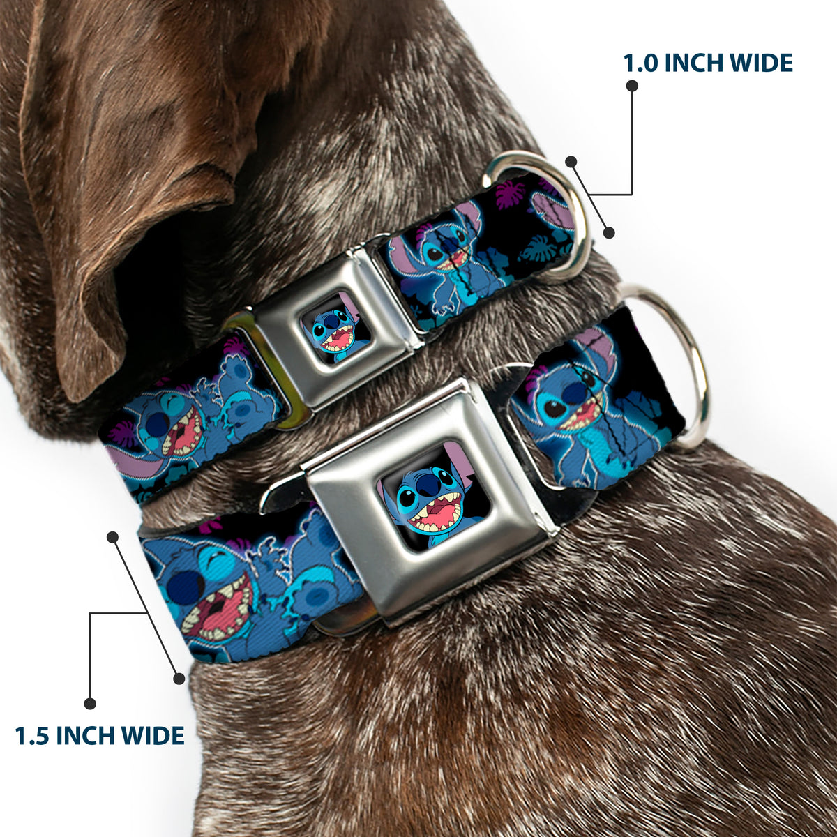 Stitch Smiling CLOSE-UP Full Color Seatbelt Buckle Collar - Stitch 2-Expressions/2-Poses Tropical Flora Black/Purple-Blue Fade Dog Collars Seatbelt Buckle Disney