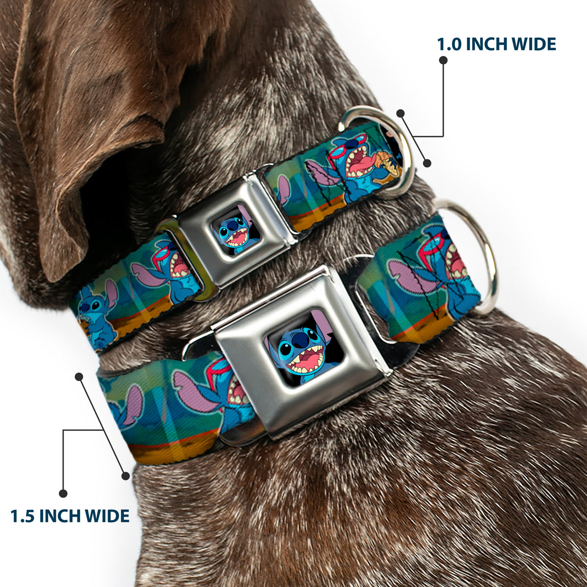 Stitch Smiling CLOSE-UP Full Color Black Seatbelt Buckle Collar - Lilo & Stitch 5-Scene Blocks Dog Collars Seatbelt Buckle Disney