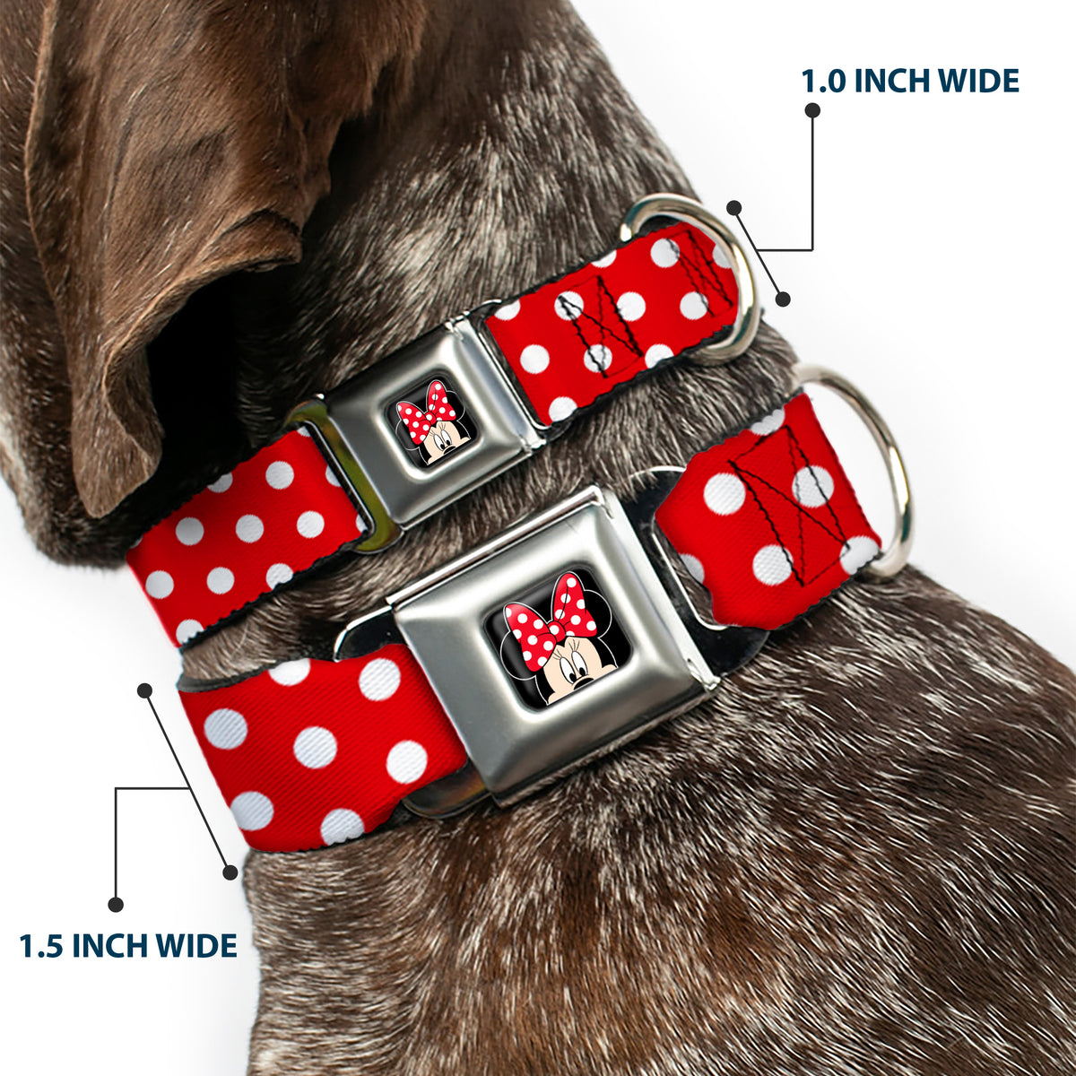 Minnie Mouse w Bow CLOSE-UP Full Color Black Red White Seatbelt Buckle Collar - Minnie Mouse Polka Dots Red/White Dog Collars Seatbelt Buckle Disney