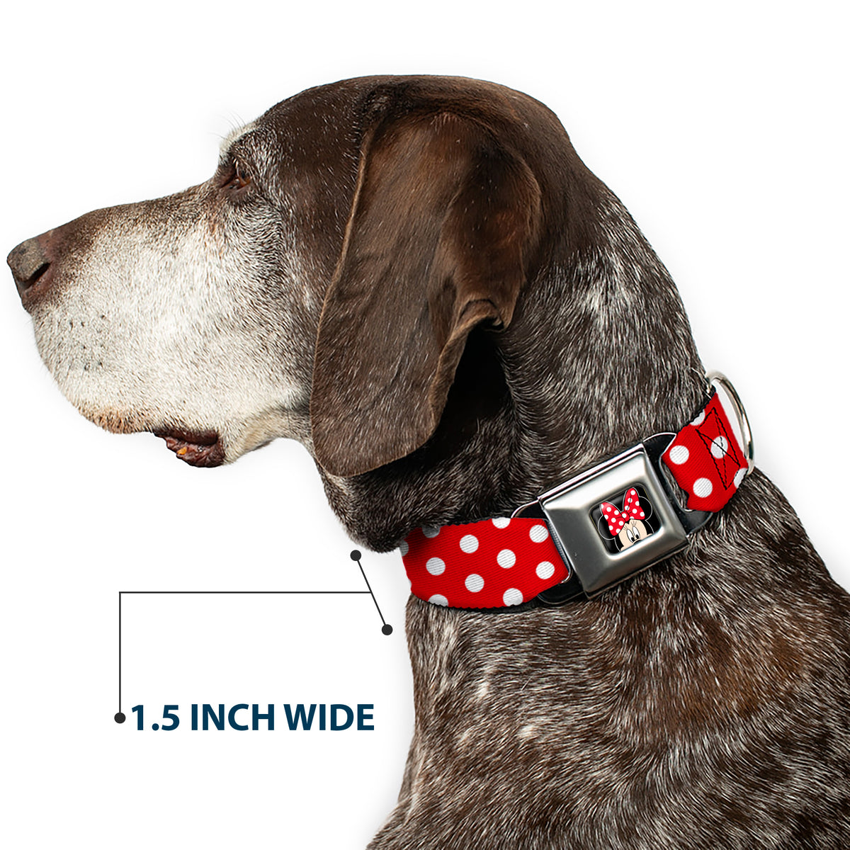 Minnie Mouse w Bow CLOSE-UP Full Color Black Red White Seatbelt Buckle Collar - Minnie Mouse Polka Dots Red/White Dog Collars Seatbelt Buckle Disney