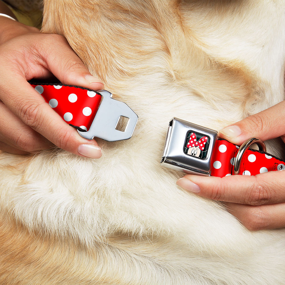 Minnie Mouse w Bow CLOSE-UP Full Color Black Red White Seatbelt Buckle Collar - Minnie Mouse Polka Dots Red/White Dog Collars Seatbelt Buckle Disney