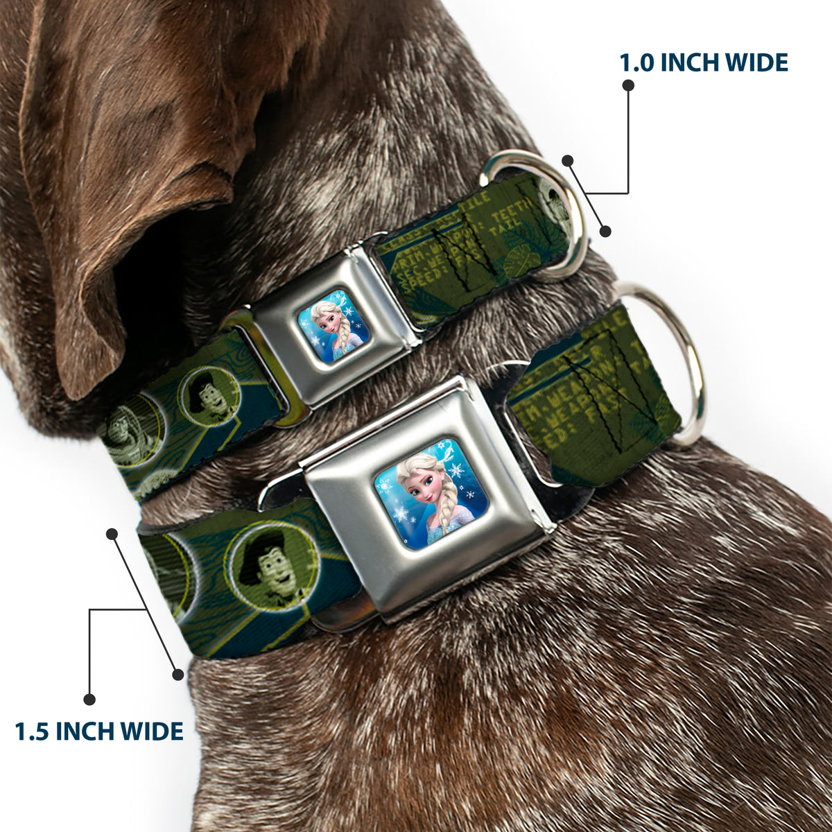 Rex Silhouette Full Colot Black Blue Green Seatbelt Buckle Collar - Buzz Poses/Stars LIKE A BUZZ Dog Collars Seatbelt Buckle Disney