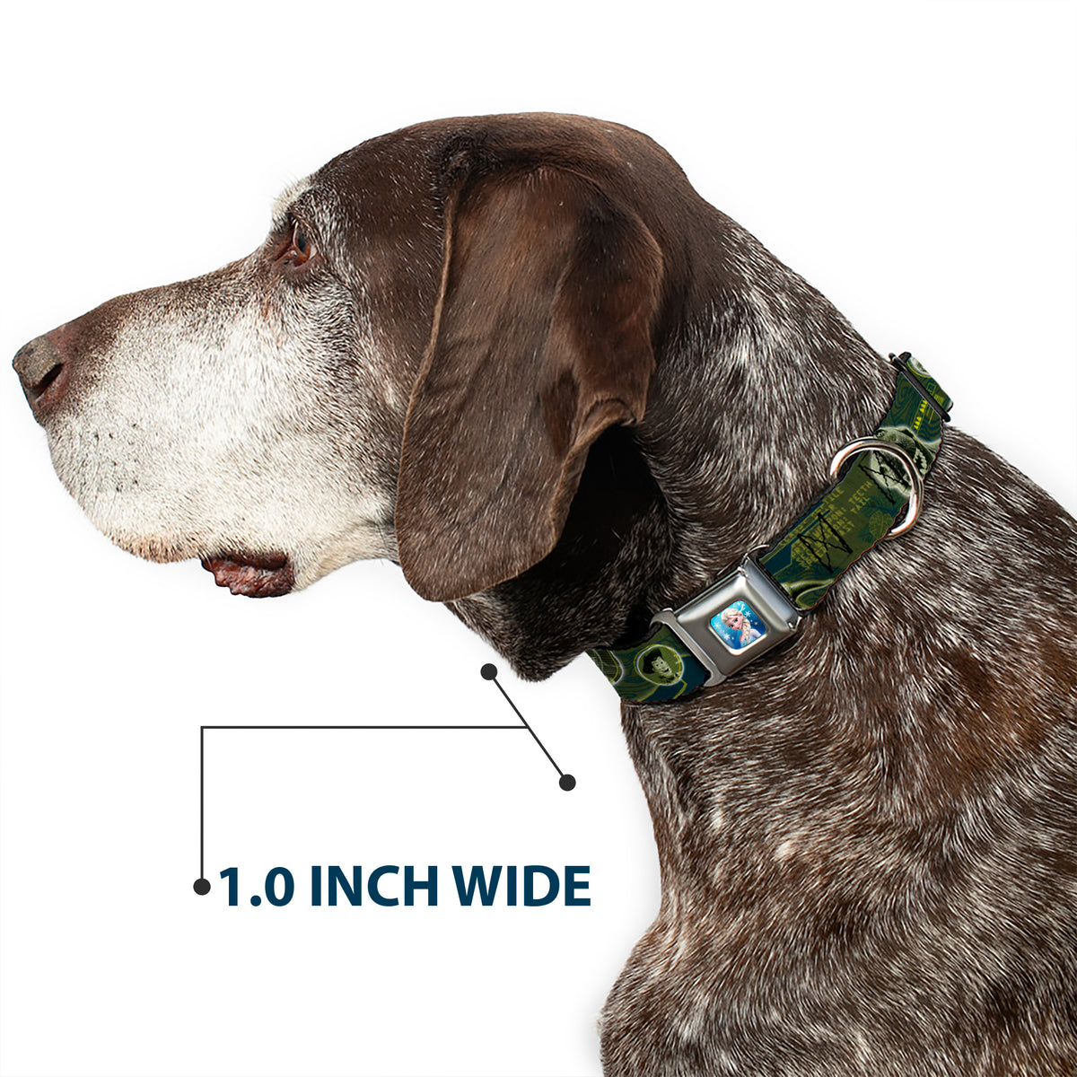 Rex Silhouette Full Colot Black Blue Green Seatbelt Buckle Collar - Buzz Poses/Stars LIKE A BUZZ Dog Collars Seatbelt Buckle Disney