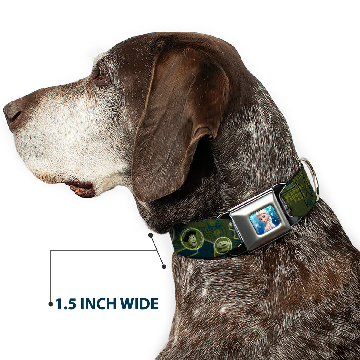 Rex Silhouette Full Colot Black Blue Green Seatbelt Buckle Collar - Buzz Poses/Stars LIKE A BUZZ Dog Collars Seatbelt Buckle Disney