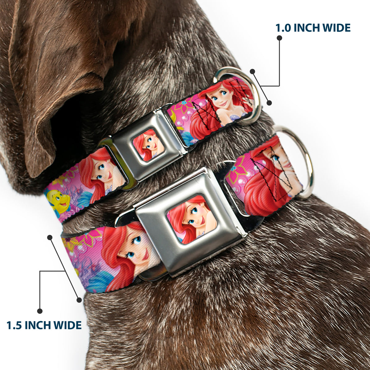 Ariel Face4 Full Color Pink Blue Seatbelt Buckle Collar - Ariel/Flounder/Fish Trio Poses Pinks Dog Collars Seatbelt Buckle Disney