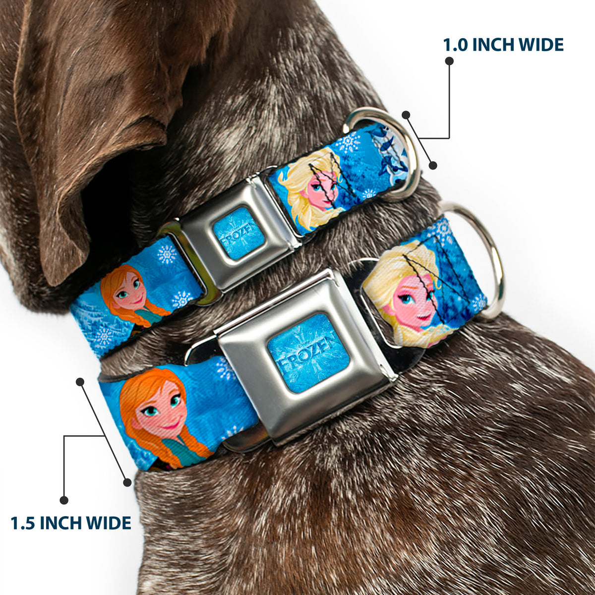 FROZEN Logo Full Color Blues Seatbelt Buckle Collar - Frozen Character Poses Blues Dog Collars Seatbelt Buckle Disney