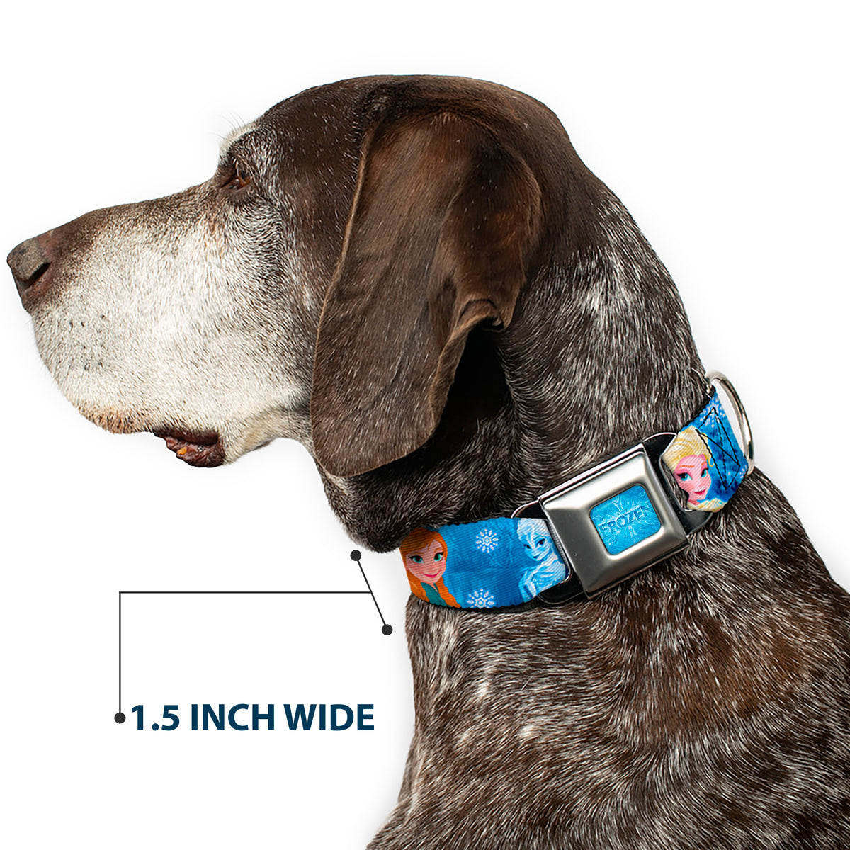 FROZEN Logo Full Color Blues Seatbelt Buckle Collar - Frozen Character Poses Blues Dog Collars Seatbelt Buckle Disney