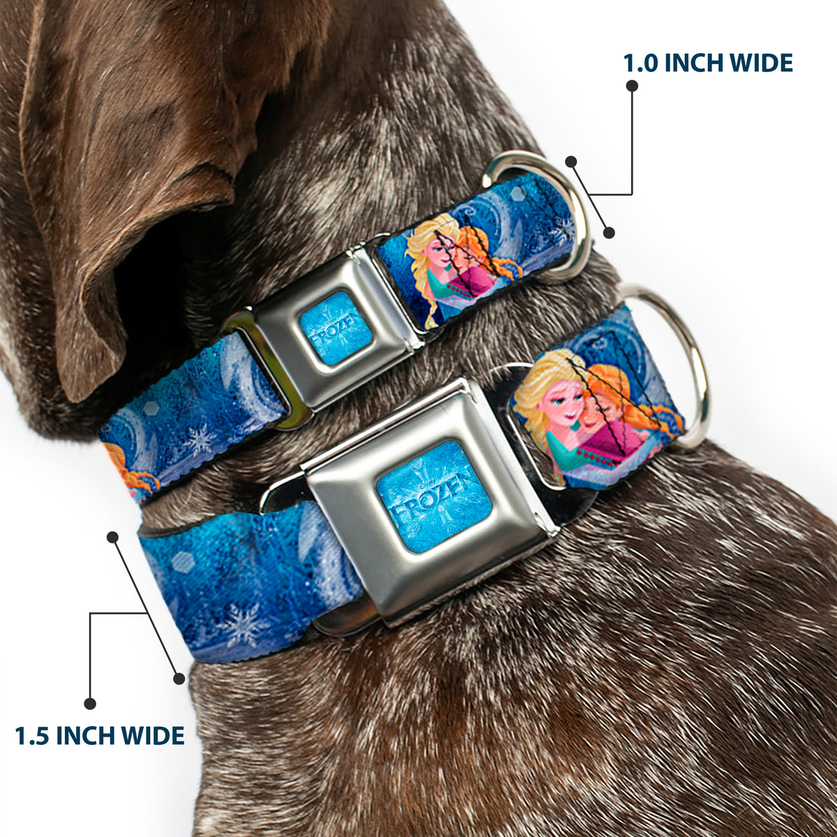 FROZEN Logo Full Color Blues Seatbelt Buckle Collar - Frozen Elsa the Snow Queen Poses/Snowflakes Dog Collars Seatbelt Buckle Disney