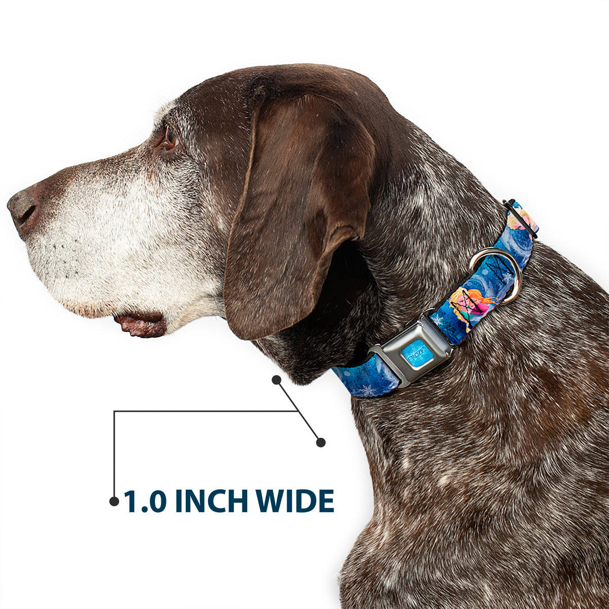 FROZEN Logo Full Color Blues Seatbelt Buckle Collar - Frozen Elsa the Snow Queen Poses/Snowflakes Dog Collars Seatbelt Buckle Disney