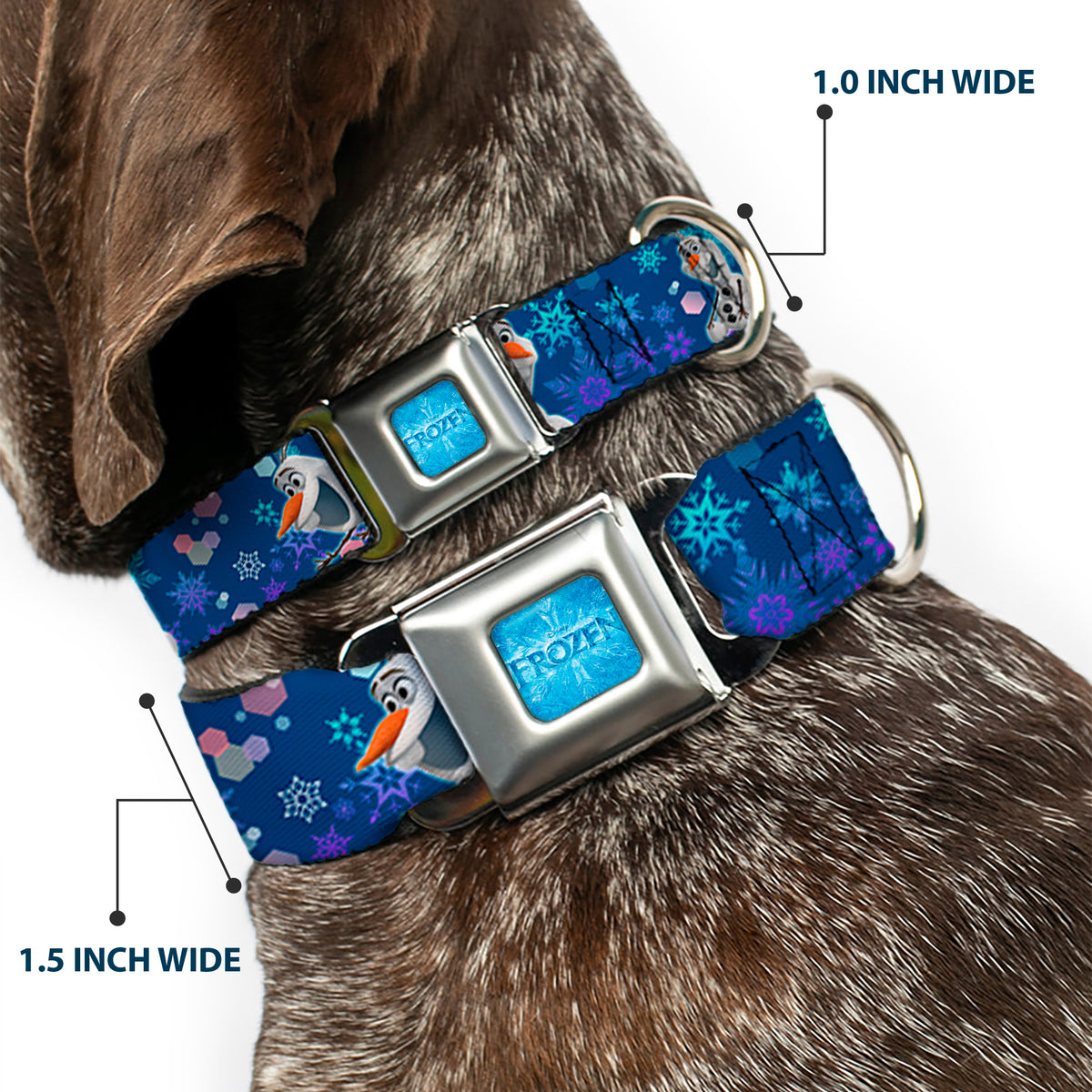 FROZEN Logo Full Color Blues Seatbelt Buckle Collar - Frozen Olaf Poses/Snowflakes Blues Dog Collars Seatbelt Buckle Disney