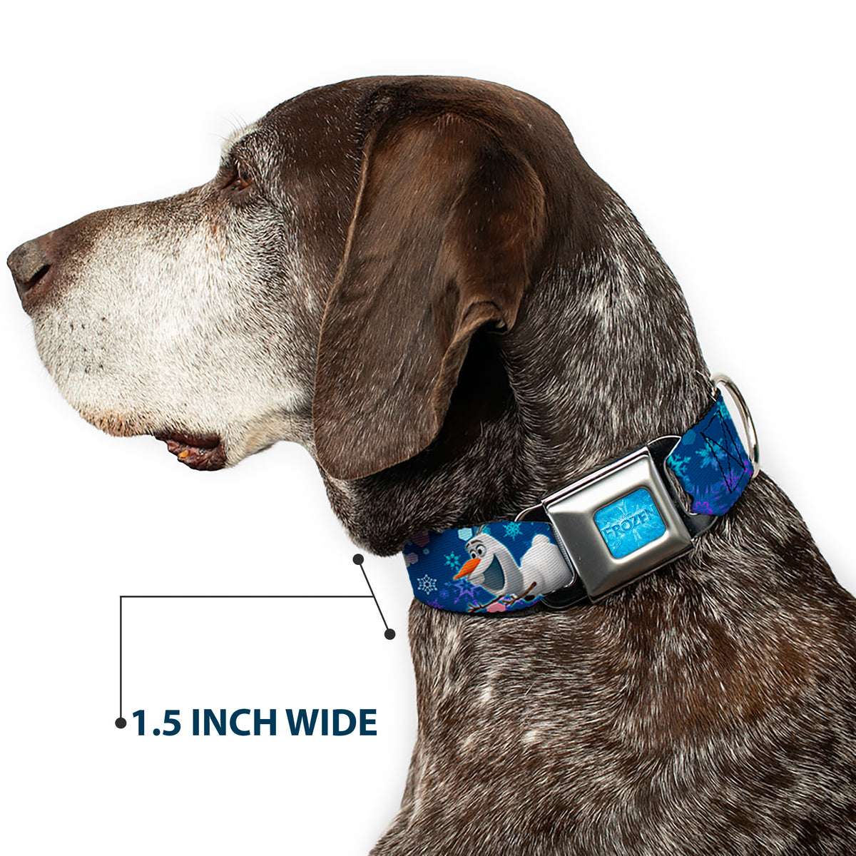 FROZEN Logo Full Color Blues Seatbelt Buckle Collar - Frozen Olaf Poses/Snowflakes Blues Dog Collars Seatbelt Buckle Disney