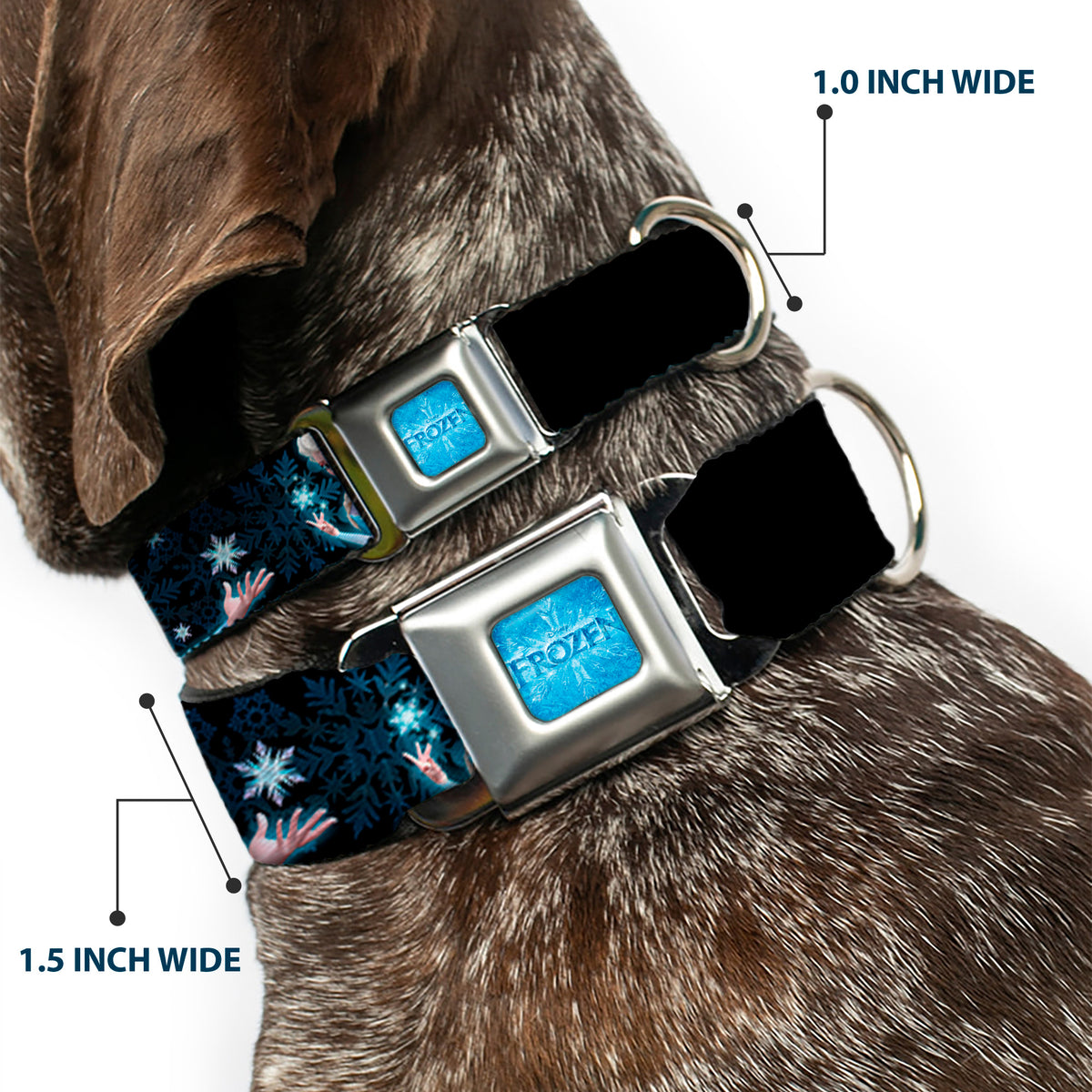 FROZEN Logo Full Color Blues Seatbelt Buckle Collar - Elsa the Snow Queen Poses PERFECT AND POWERFUL Blues/White Dog Collars Seatbelt Buckle Disney