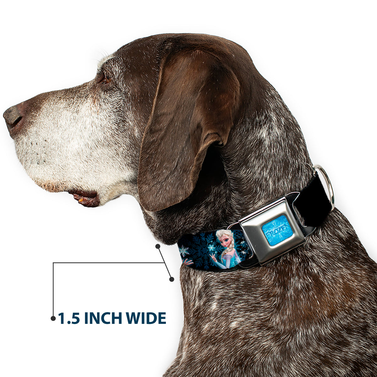 FROZEN Logo Full Color Blues Seatbelt Buckle Collar - Elsa the Snow Queen Poses PERFECT AND POWERFUL Blues/White Dog Collars Seatbelt Buckle Disney