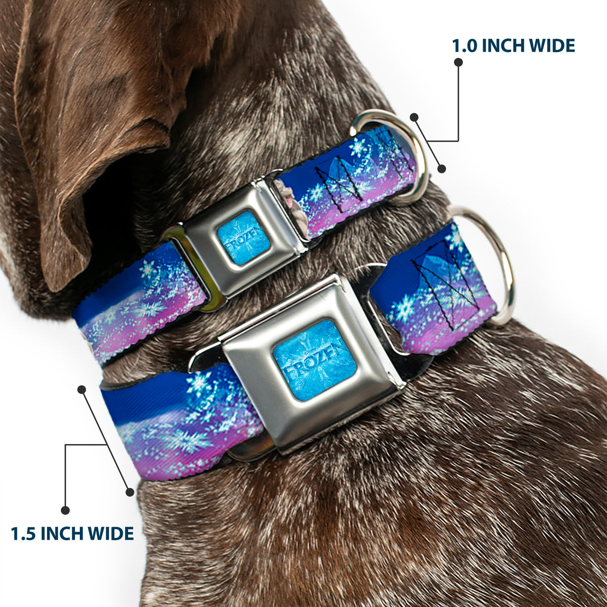 FROZEN Logo Full Color Blues Seatbelt Buckle Collar - Elsa the Snow Queen Poses/Castle & Snowy Mountains Blue-Pink Fade Dog Collars Seatbelt Buckle Disney