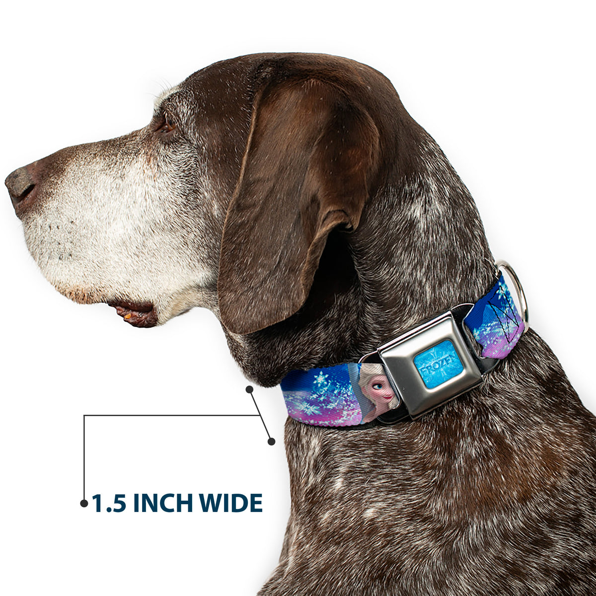 FROZEN Logo Full Color Blues Seatbelt Buckle Collar - Elsa the Snow Queen Poses/Castle & Snowy Mountains Blue-Pink Fade Dog Collars Seatbelt Buckle Disney