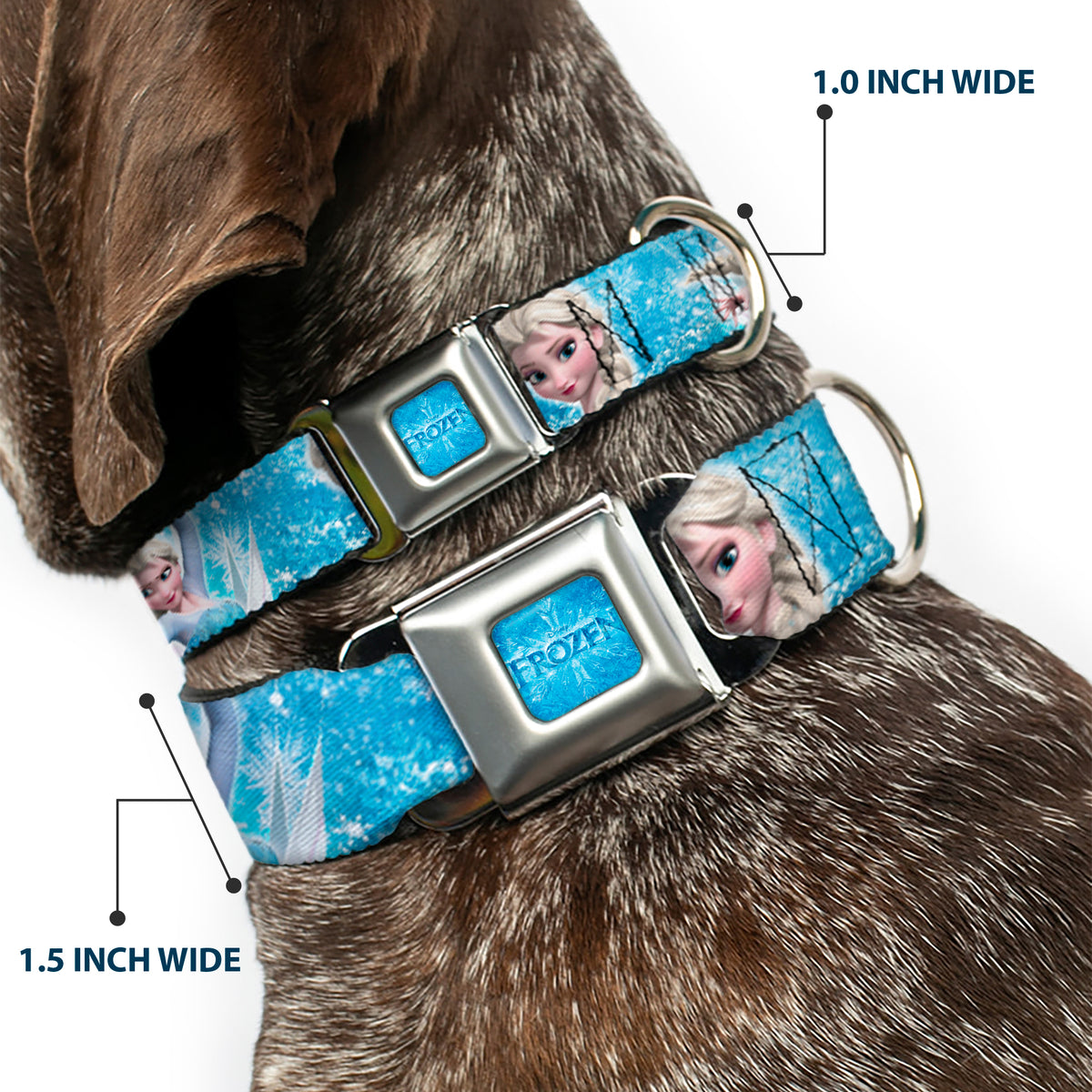 FROZEN Logo Full Color Blues Seatbelt Buckle Collar - Frozen Elsa Face/Action Pose/Snowflakes Blues/White Dog Collars Seatbelt Buckle Disney