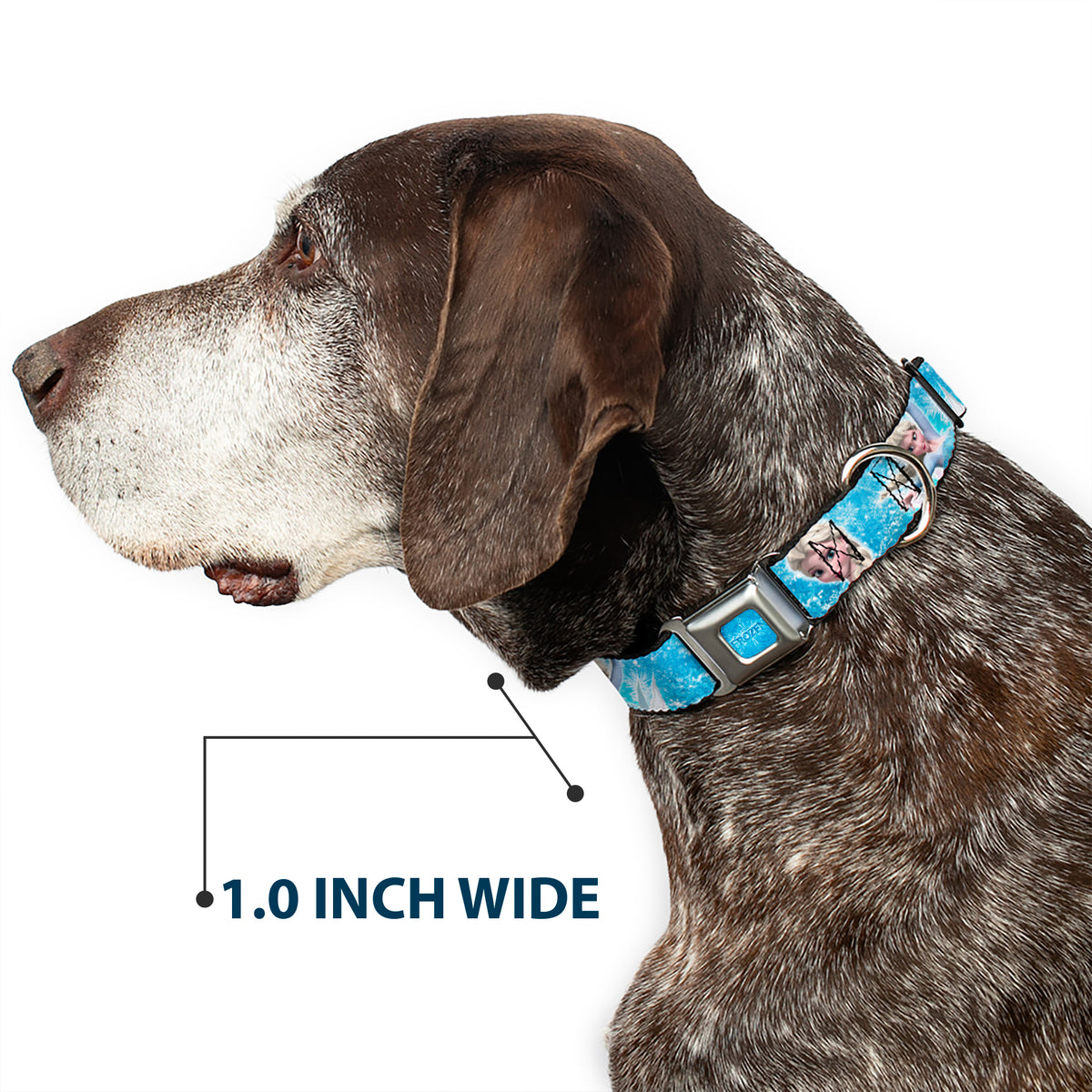 FROZEN Logo Full Color Blues Seatbelt Buckle Collar - Frozen Elsa Face/Action Pose/Snowflakes Blues/White Dog Collars Seatbelt Buckle Disney