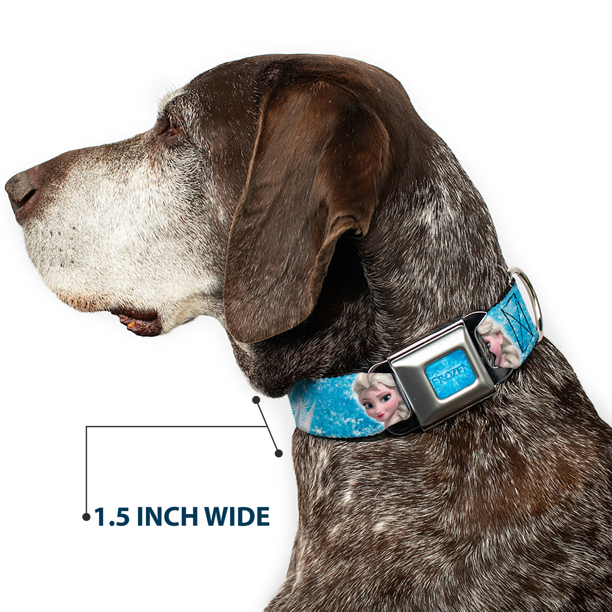 FROZEN Logo Full Color Blues Seatbelt Buckle Collar - Frozen Elsa Face/Action Pose/Snowflakes Blues/White Dog Collars Seatbelt Buckle Disney