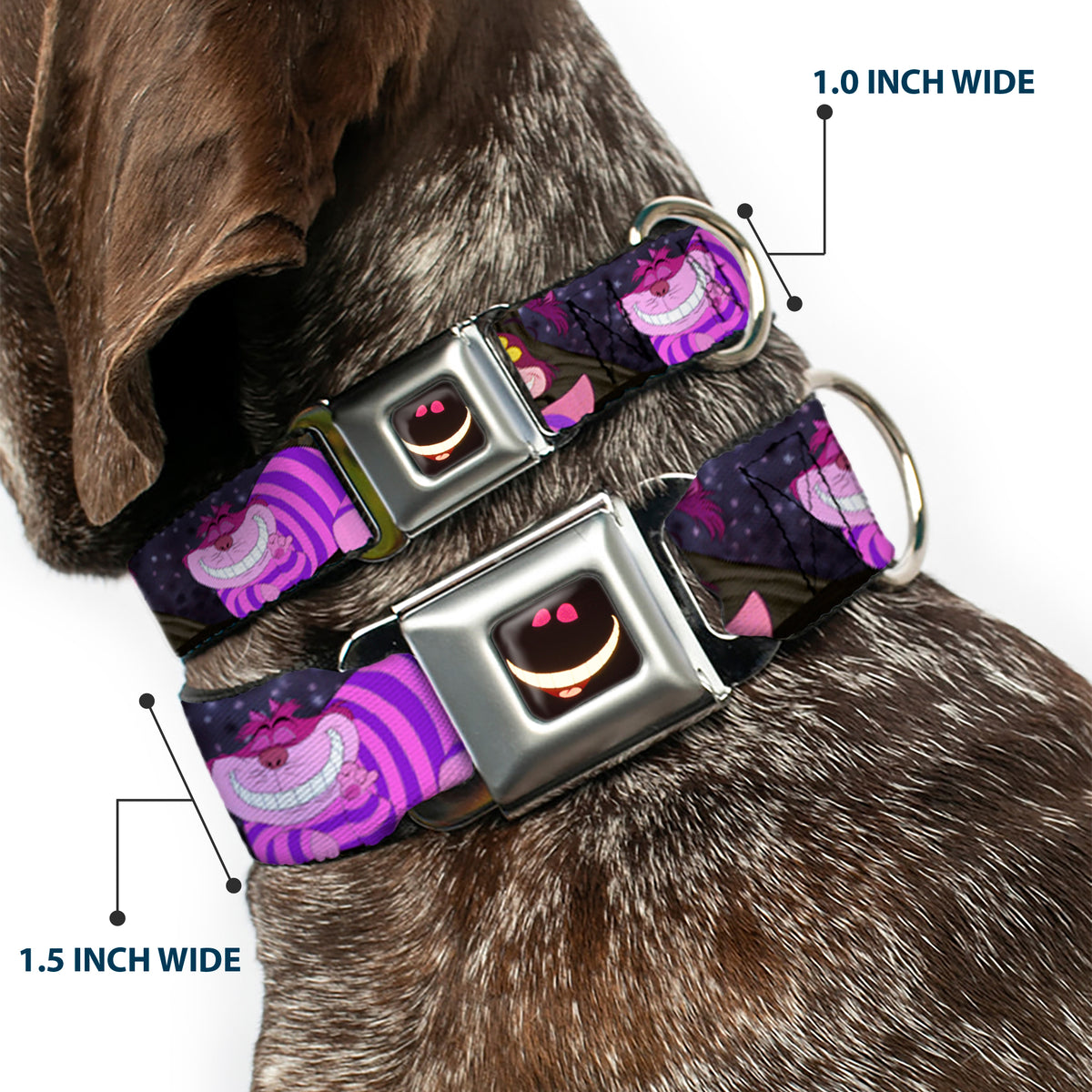 Cheshire Cat Eyes Smile Full Color Seatbelt Buckle Collar - Cheshire Cat Tree Poses Dog Collars Seatbelt Buckle Disney