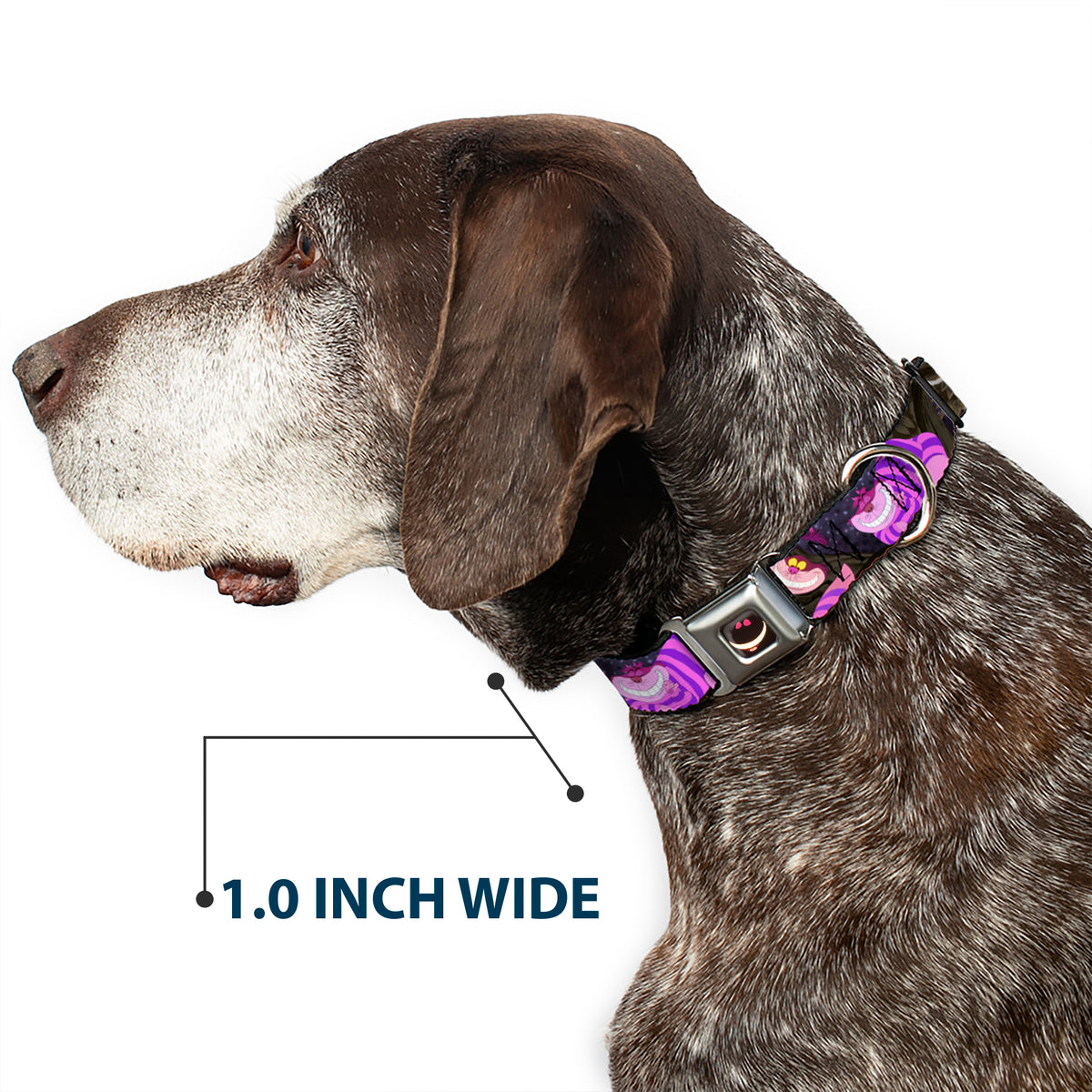 Cheshire Cat Eyes Smile Full Color Seatbelt Buckle Collar - Cheshire Cat Tree Poses Dog Collars Seatbelt Buckle Disney