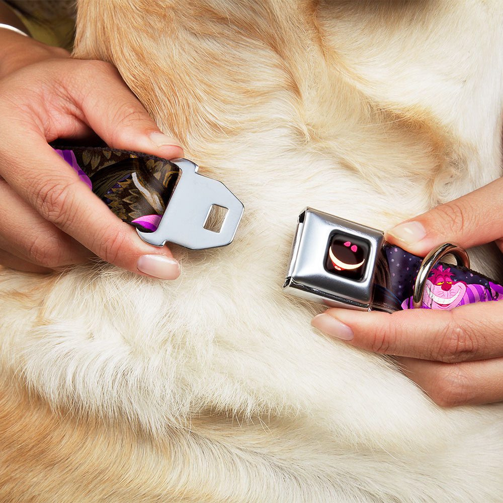 Cheshire Cat Eyes Smile Full Color Seatbelt Buckle Collar - Cheshire Cat Tree Poses Dog Collars Seatbelt Buckle Disney