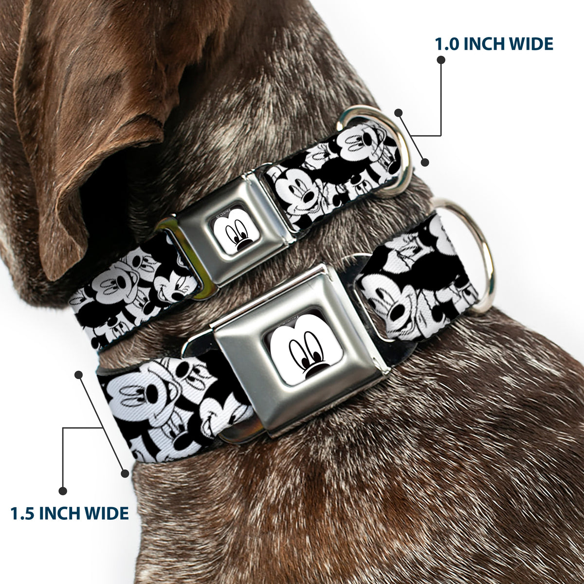 Mickey Mouse Face CLOSE-UP Full Color White Black Seatbelt Buckle Collar - Mickey Mouse Expressions Stacked White/Black Dog Collars Seatbelt Buckle Disney