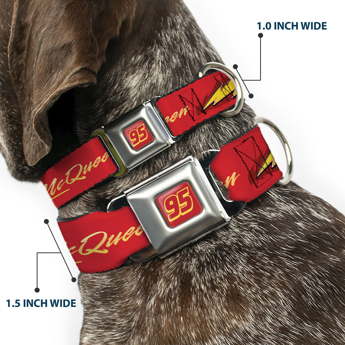 Cars Lightning McQueen Number 95 Full Color Red/Yellow Seatbelt Buckle Collar - Cars LIGHTNING MC QUEEN Text with Bolt Flames Red/Yellows Dog Collars Seatbelt Buckle Disney