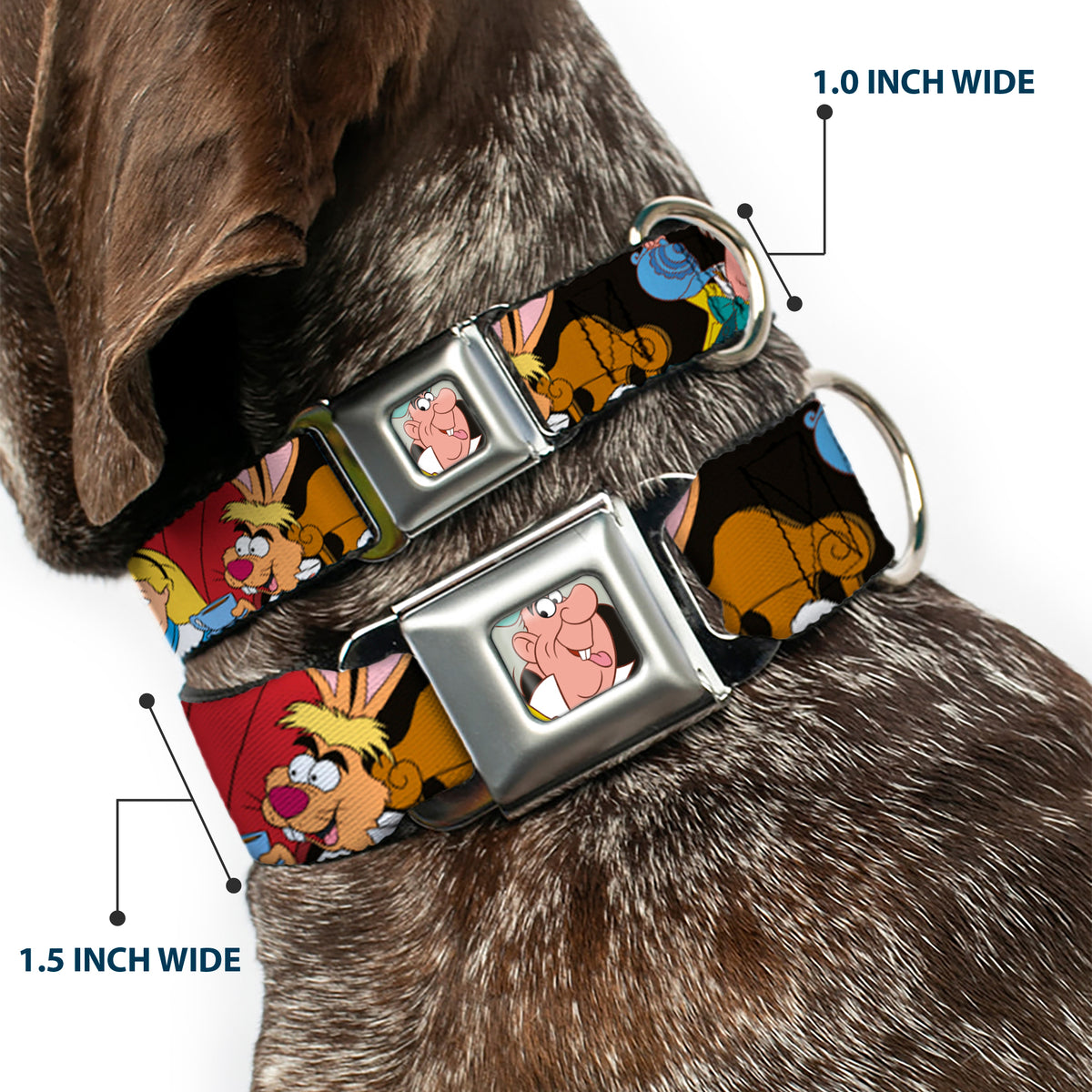 Mad Hatter Face Full Color Seatbelt Buckle Collar - Mad Hatter's Tea Party Poses Dog Collars Seatbelt Buckle Disney