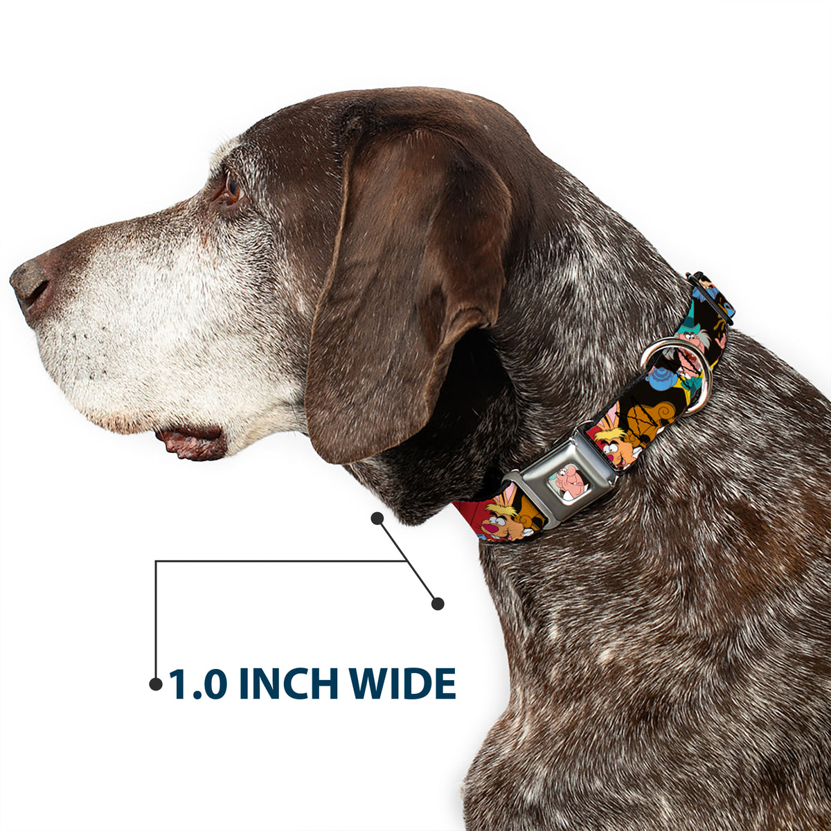 Mad Hatter Face Full Color Seatbelt Buckle Collar - Mad Hatter's Tea Party Poses Dog Collars Seatbelt Buckle Disney