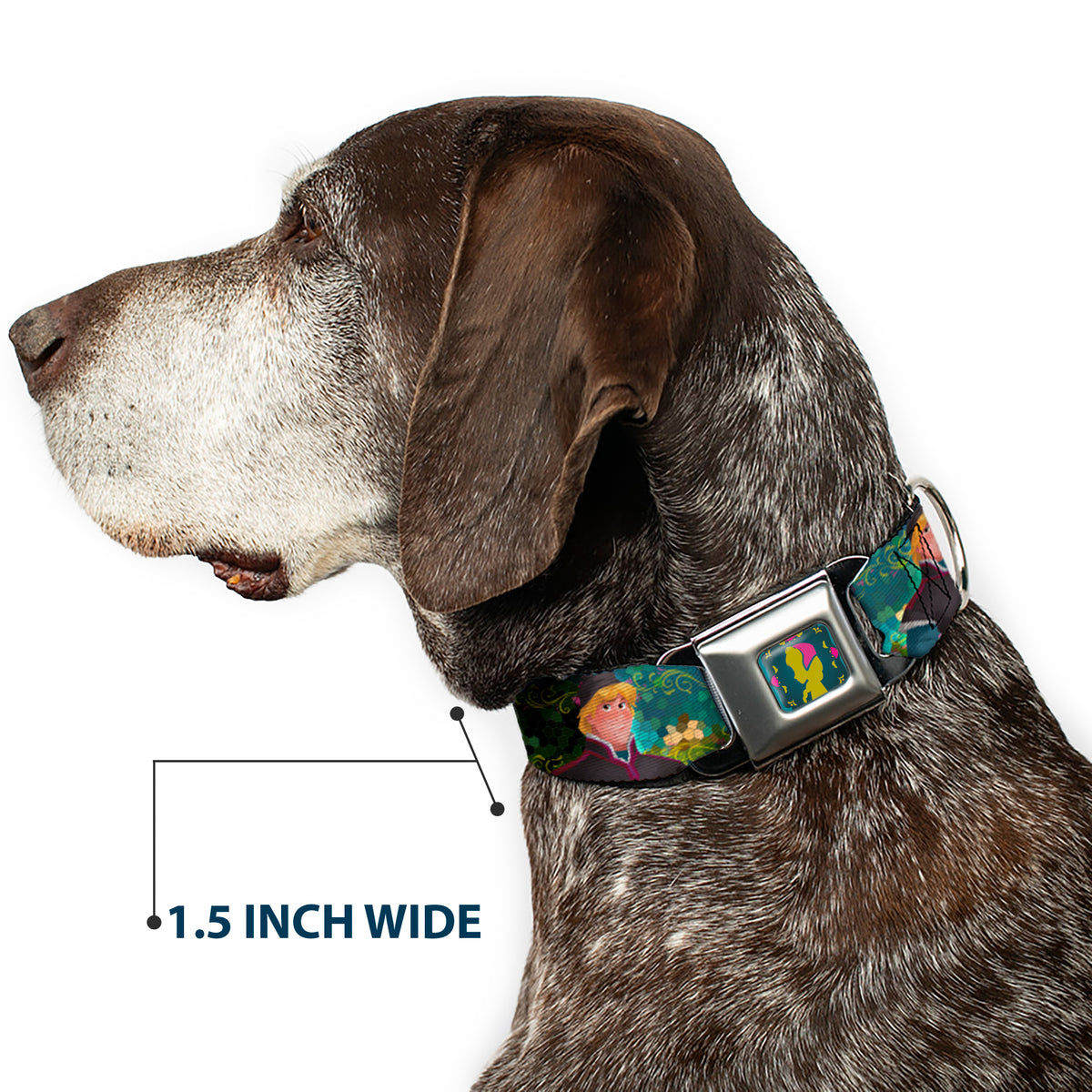 Anna Silhouette Full Color Blues Green Pink Seatbelt Buckle Collar - Anna & Hans/Anna & Kristoff Poses Dog Collars Seatbelt Buckle Disney