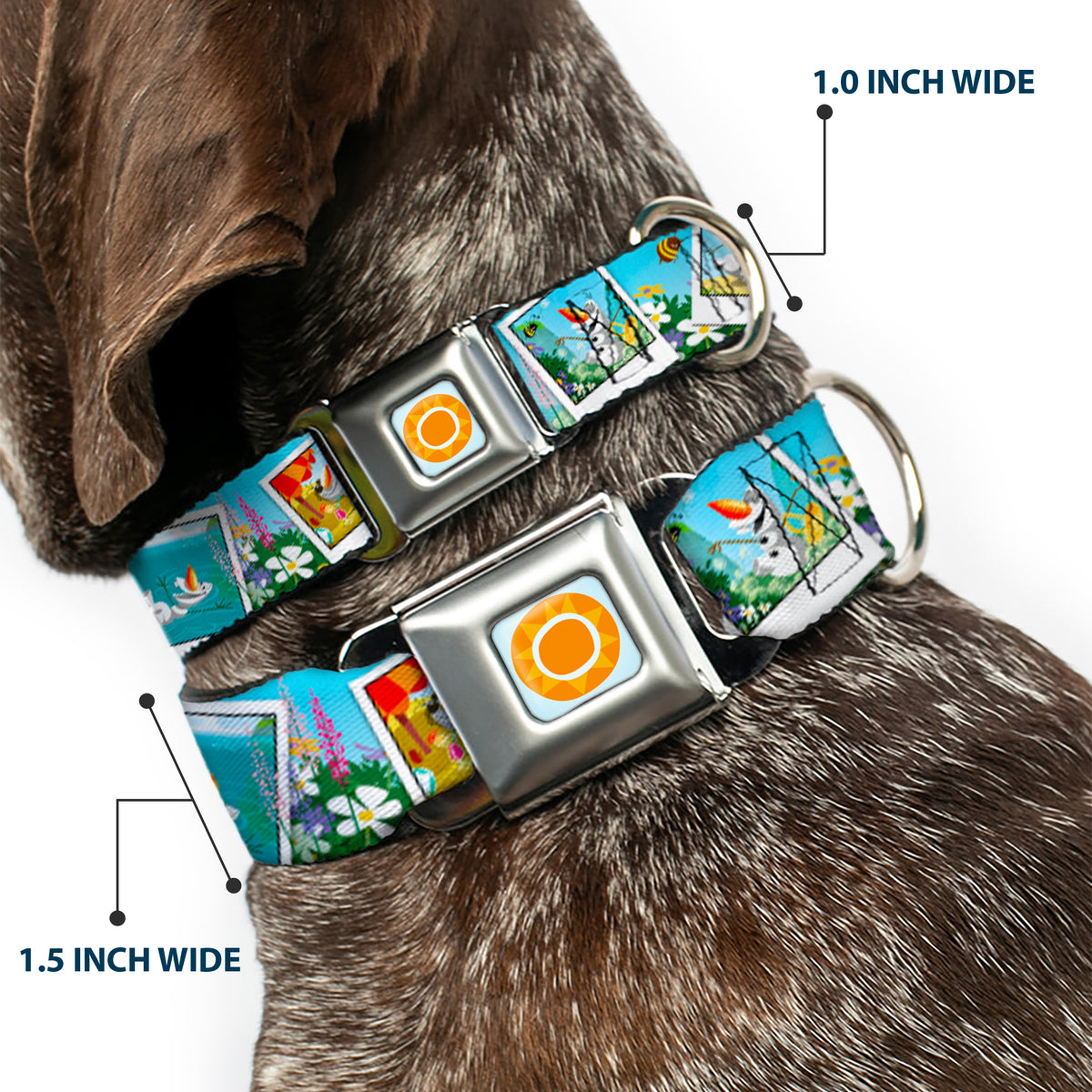 Frozen Sun Full Color Blue/Yellows Seatbelt Buckle Collar - Olaf Summertime Snapshots Dog Collars Seatbelt Buckle Disney
