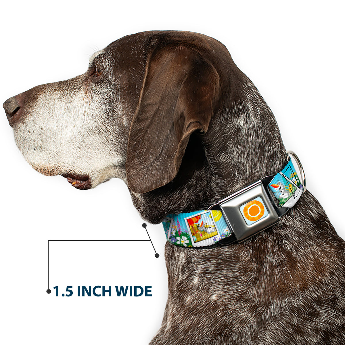 Frozen Sun Full Color Blue/Yellows Seatbelt Buckle Collar - Olaf Summertime Snapshots Dog Collars Seatbelt Buckle Disney