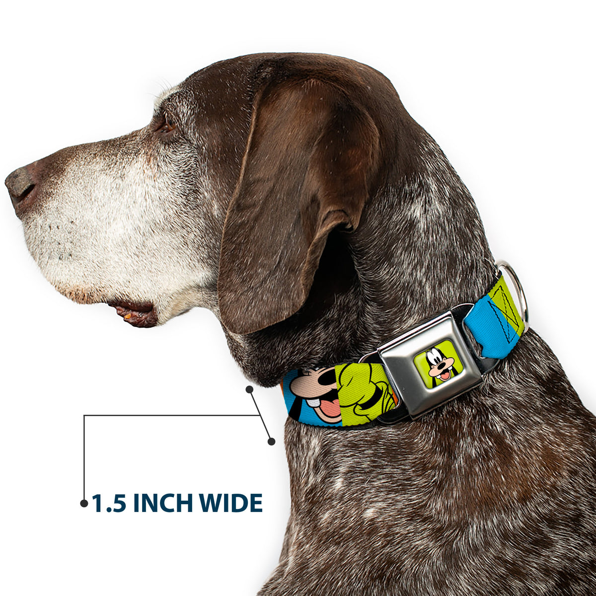 Goofy Hat Full Color Green/Black Seatbelt Buckle Collar - Goofy Face and Hat Blocks Multi Color Dog Collars Seatbelt Buckle Disney